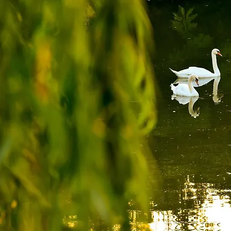Lacul Resort